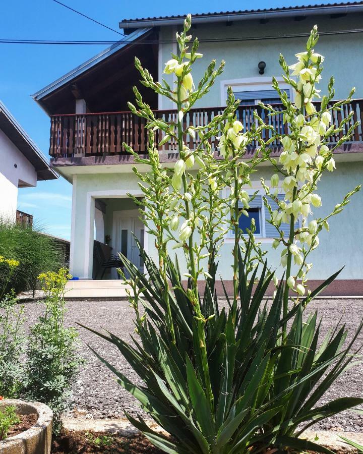 Apartman Lena Tusilovic Exterior photo